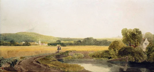 Un campo di grano vicino a un villaggio nella valle del Tamigi